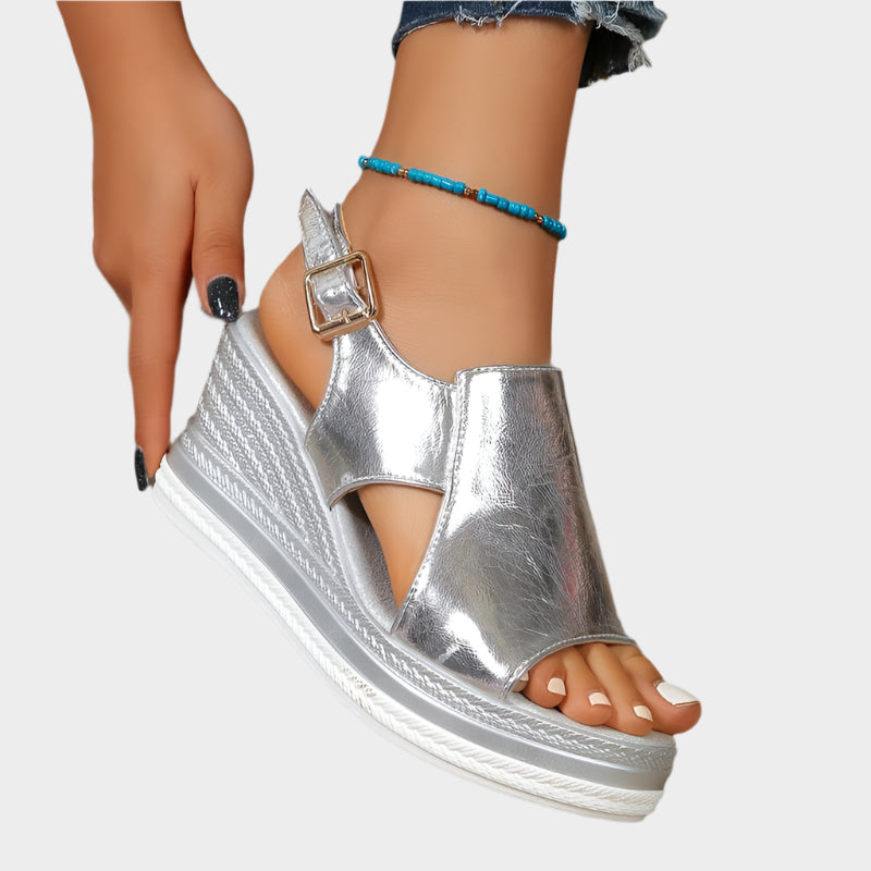 Anatómiai Platformok